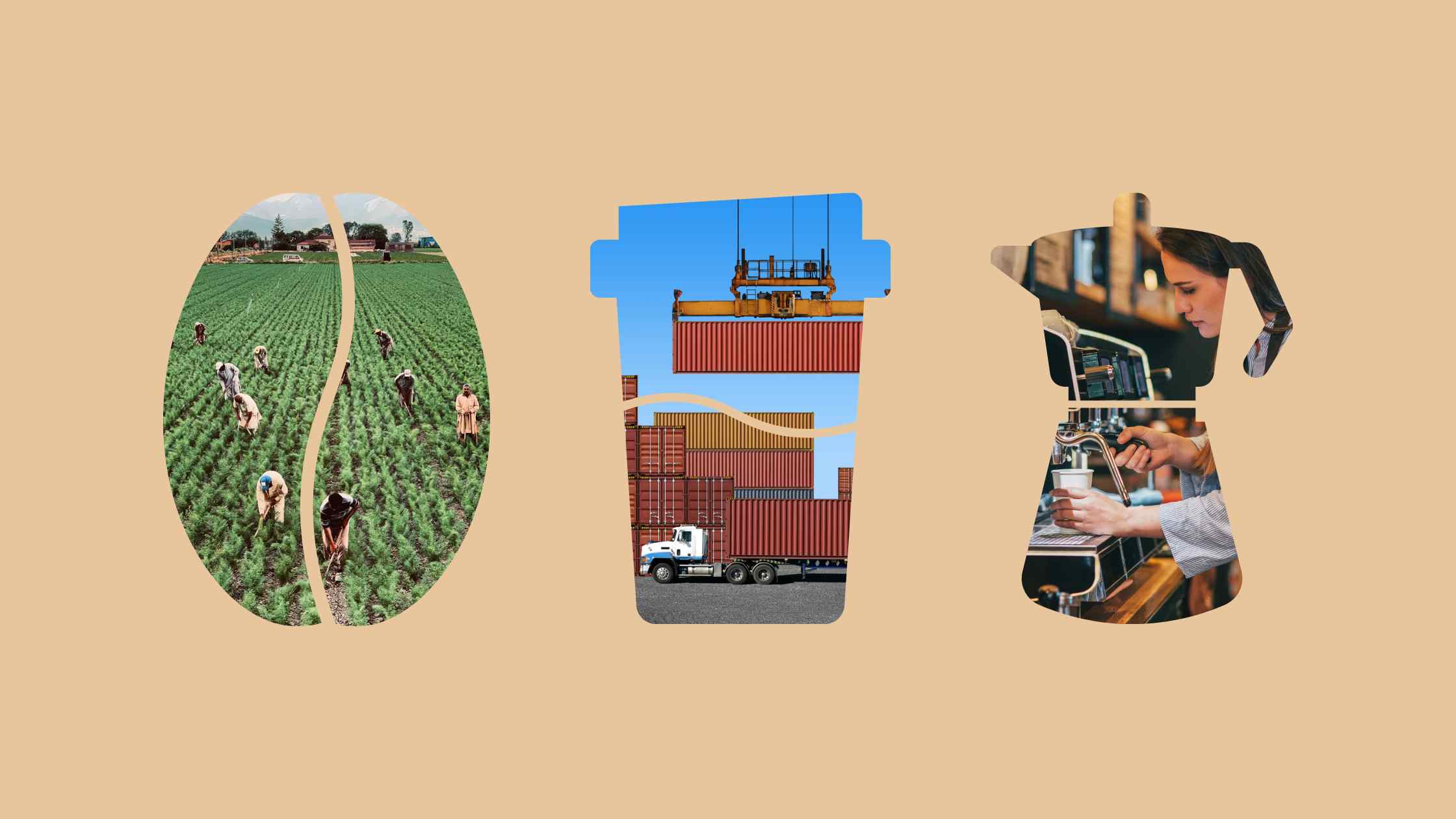 כלכלה של קפה