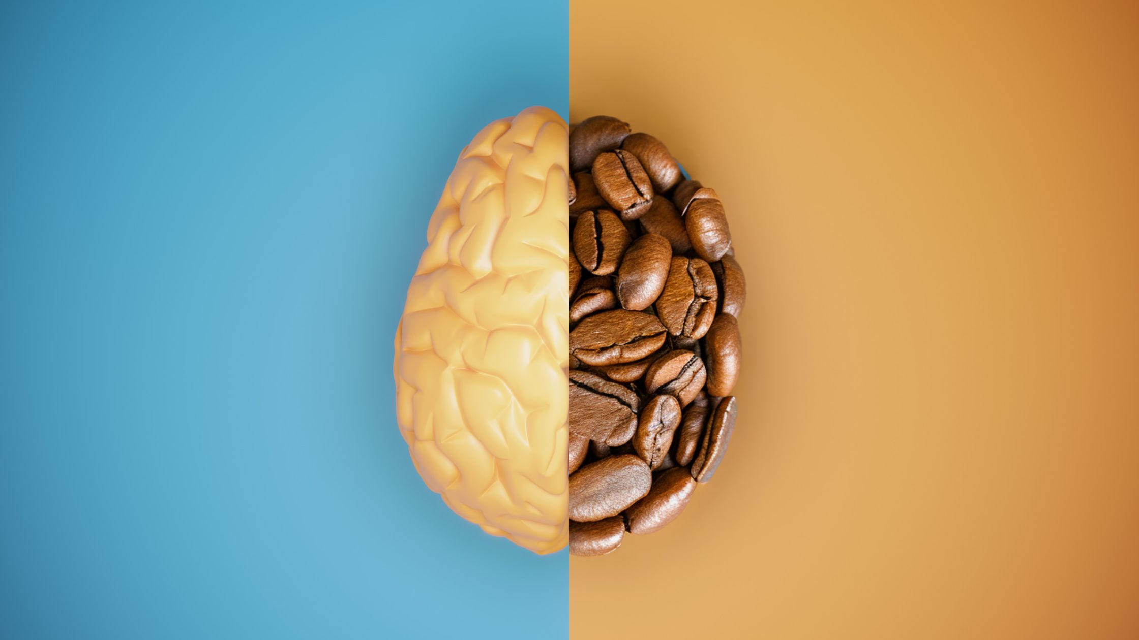 השפעת קפה על המוח